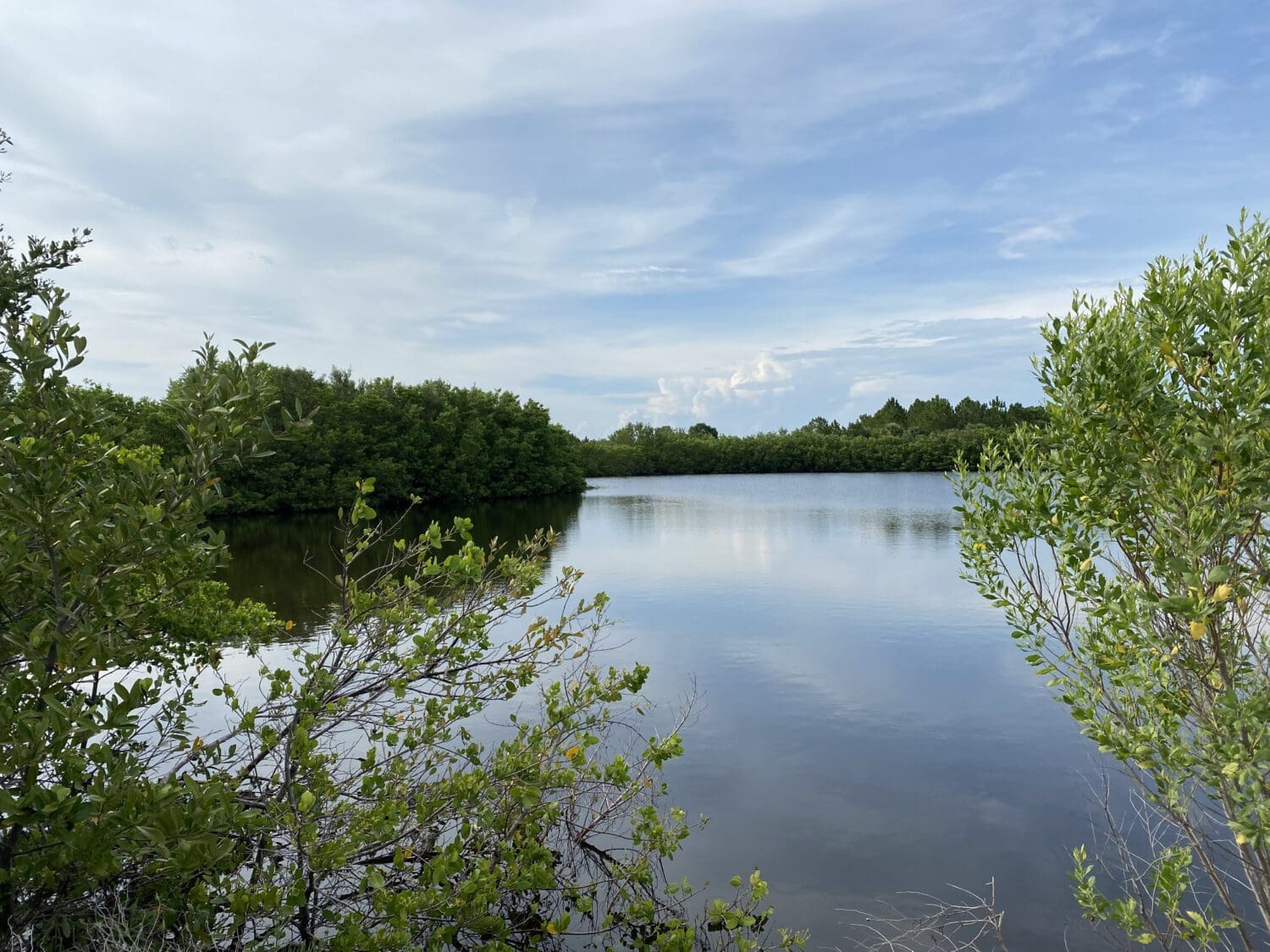 Robinson Preserve honored by Tripadvisor - AMI Sun
