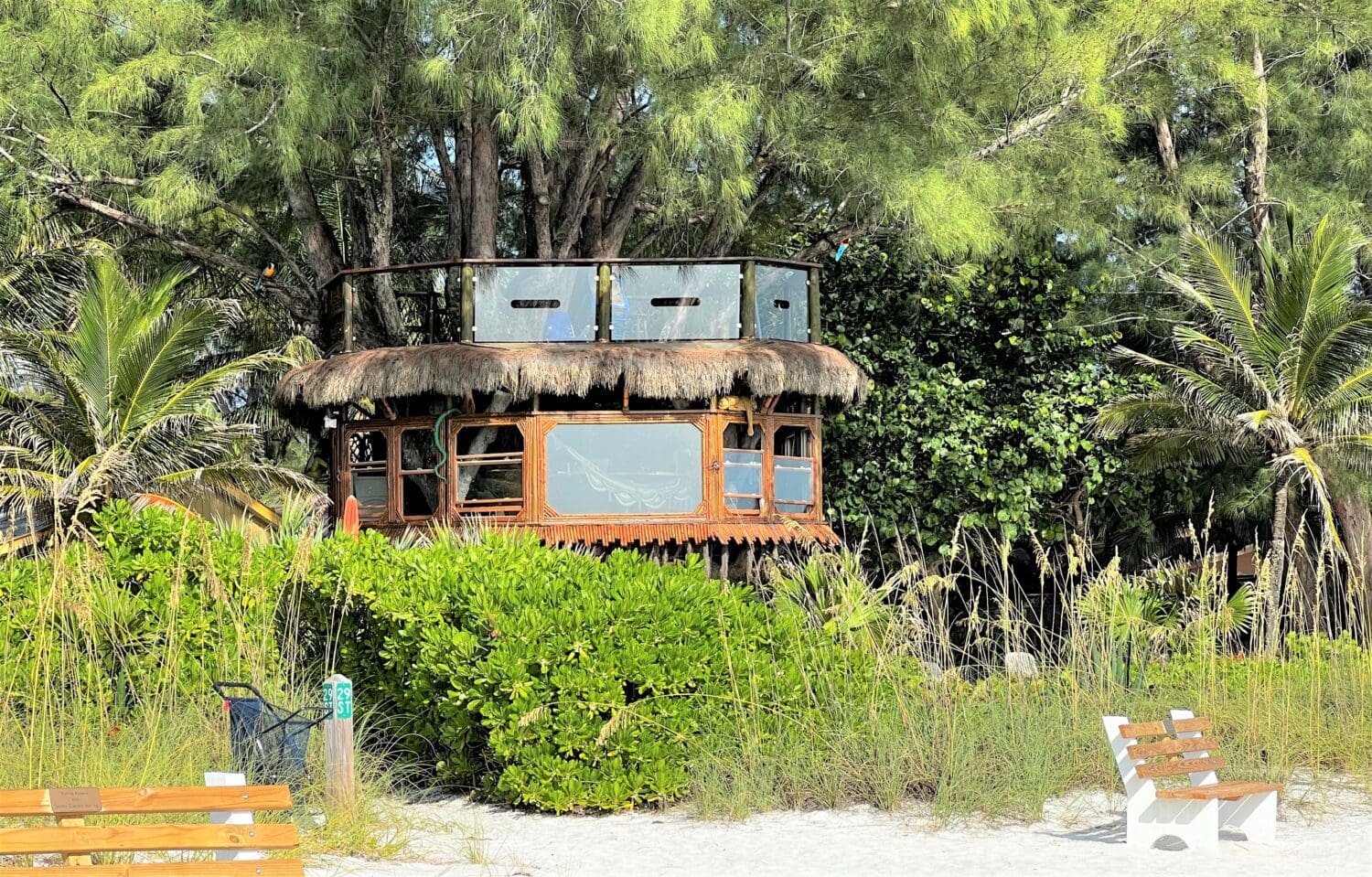 Tree house owners push for trial date