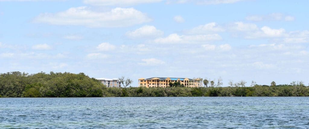 Suncoast Waterkeeper questions FDEP response to mangrove trimming