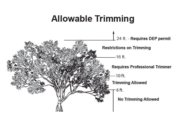 FDEP seeks $8,500 for Aqua mangrove violations