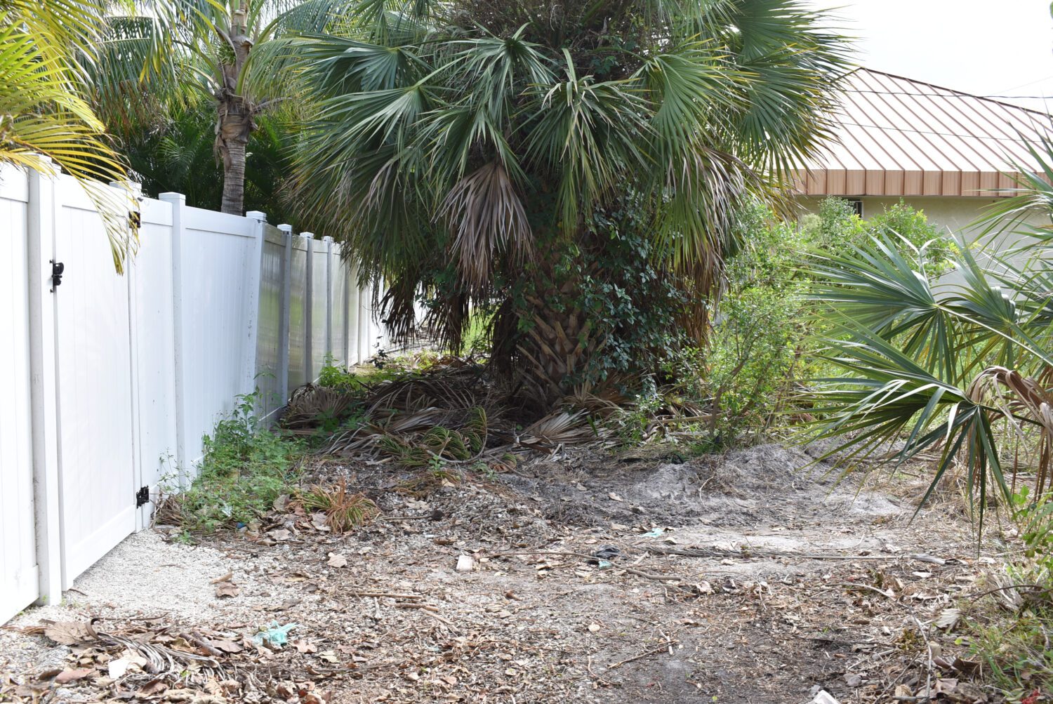 City wants to reestablish obstructed alleys