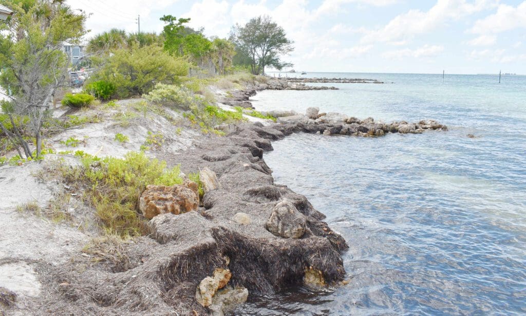 Commission ends commercial activity discussions