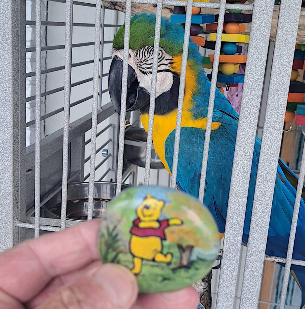 Painted rock honors young Iowa woman