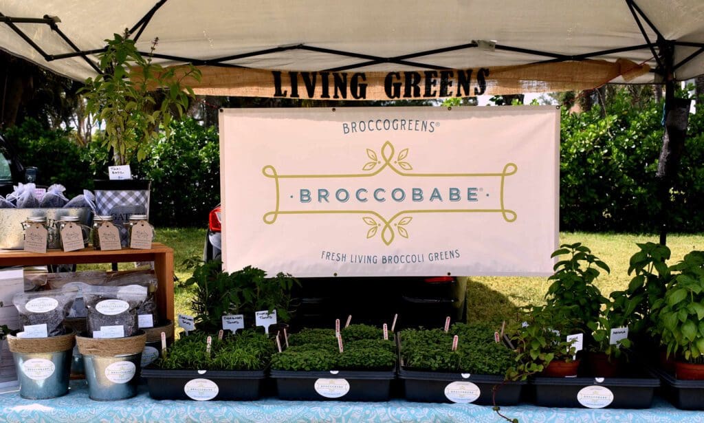 Anna Maria farmers market returns