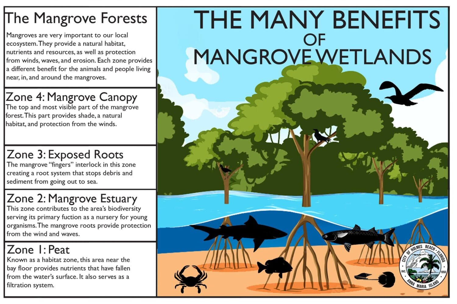 Commissioners discuss eroding wetlands protections