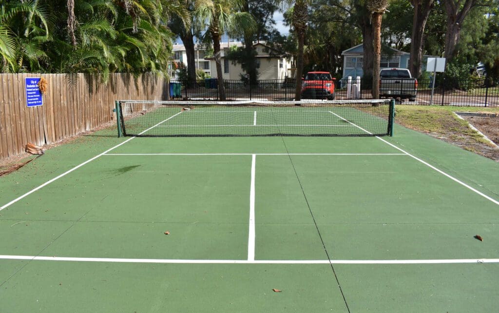 AMI pickleball players have many options