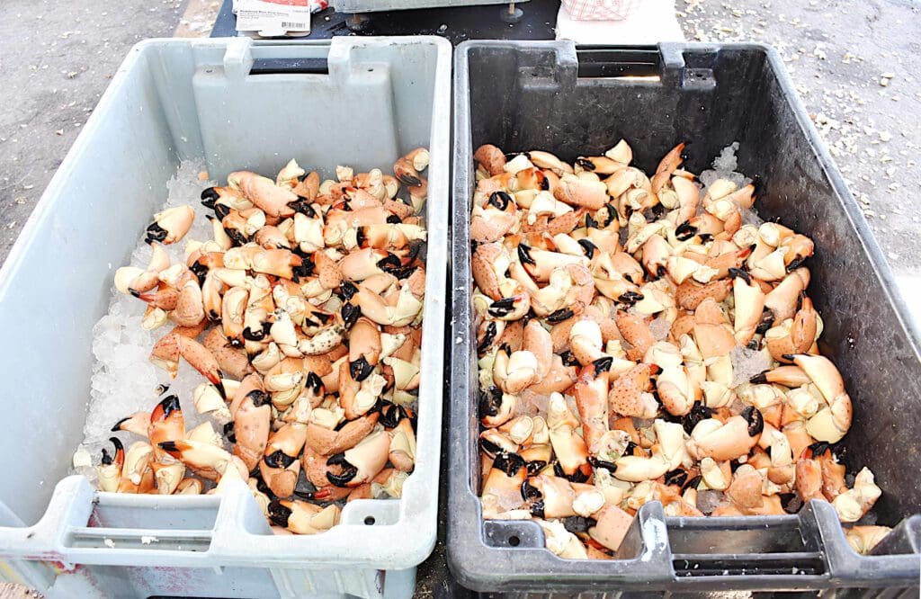 Stone Crab Festival draws crowd to Cortez