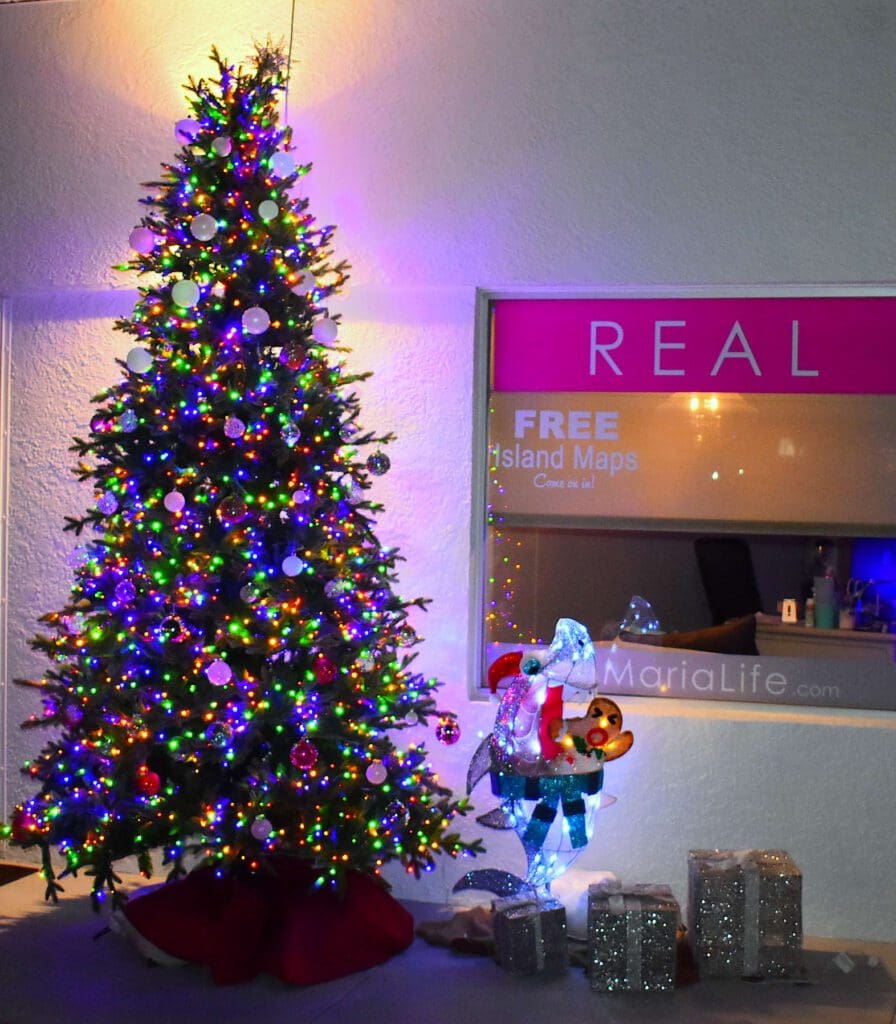 Bright Holiday Lights winners announced