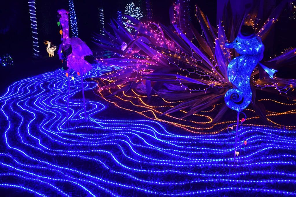 Bright Holiday Lights winners announced