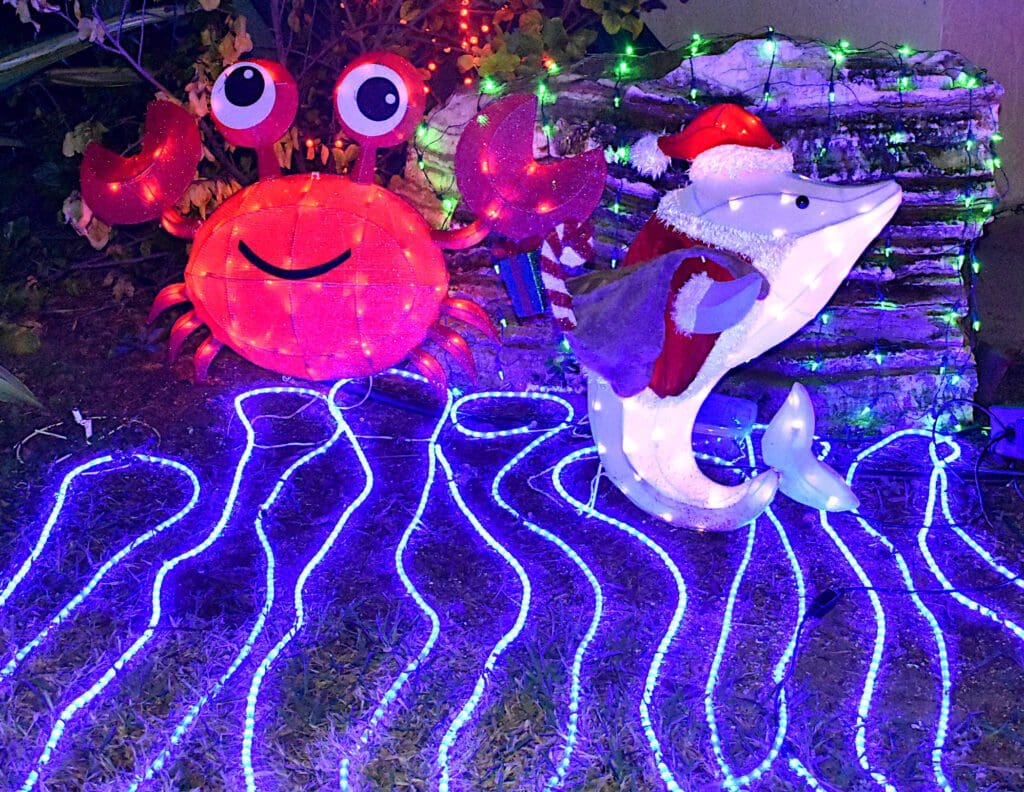 Bright Holiday Lights winners announced