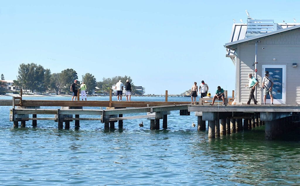 Anna Maria: The Year in Review