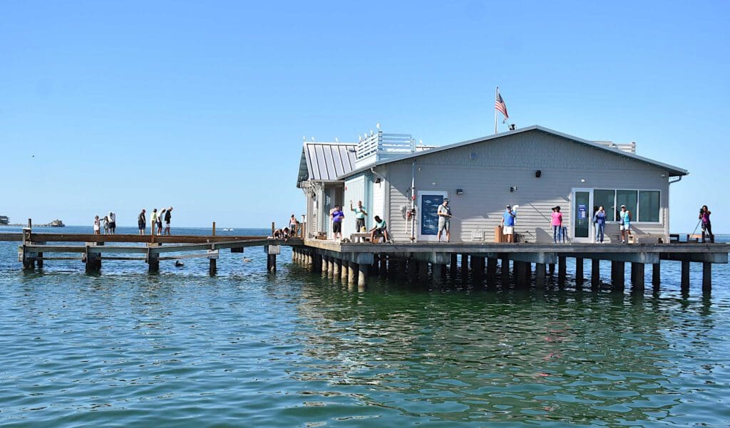 Gulf Island Ferry service delayed