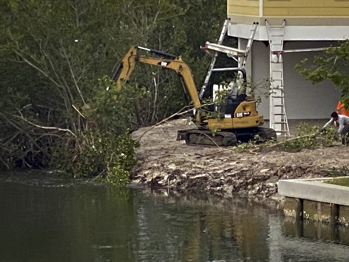 New Year's resolutions