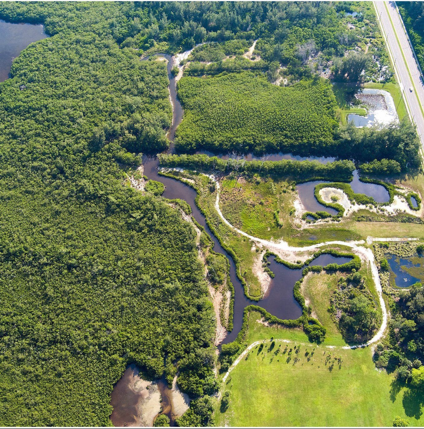 Year in Review: Cortez