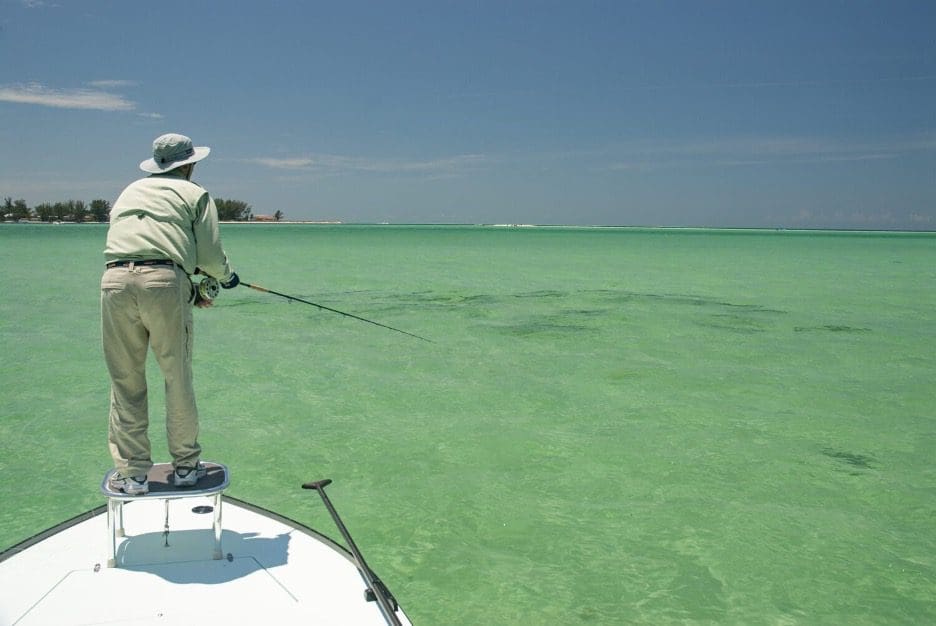 ‘Gulf, The Making of an American Sea’