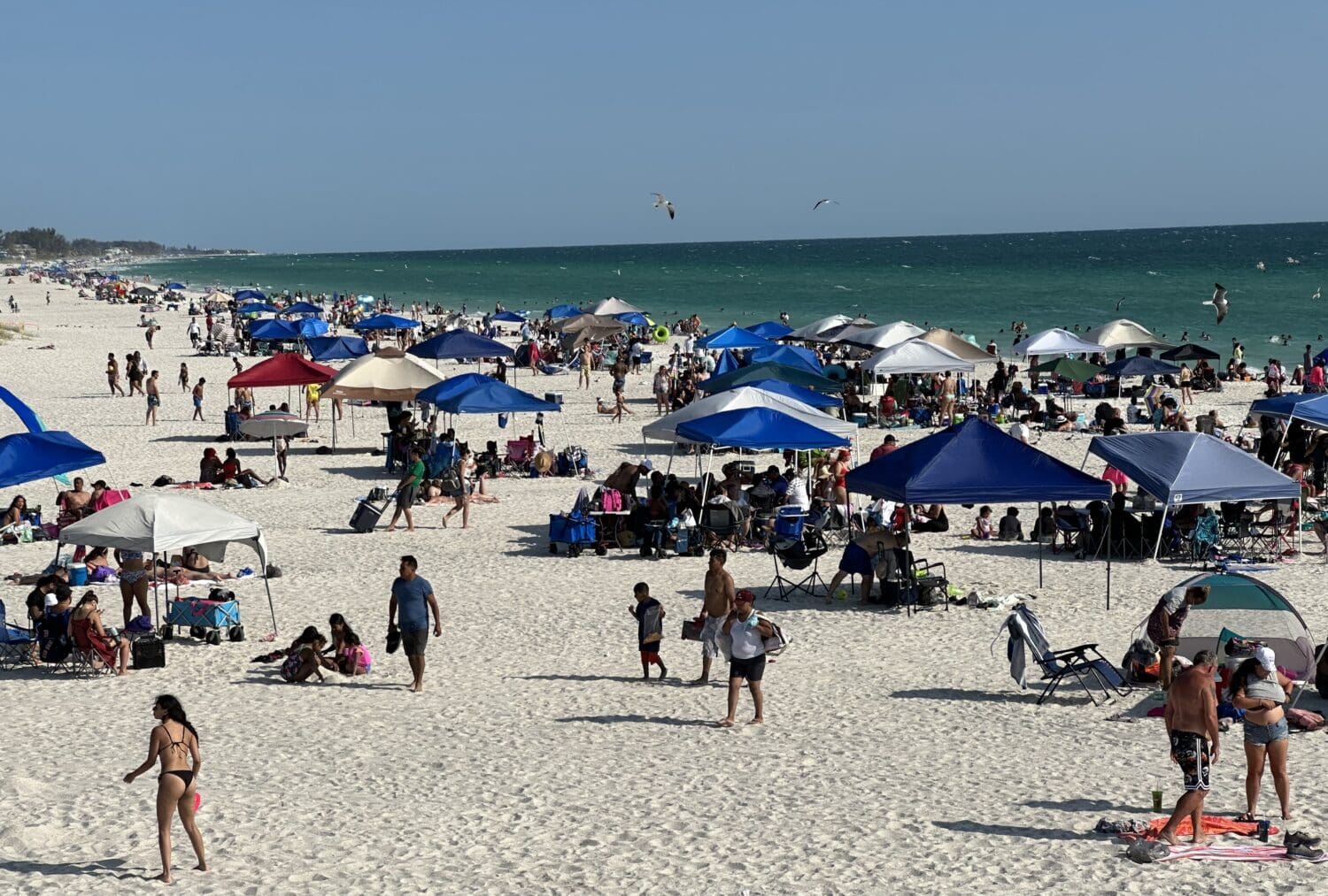 TDC recommends raising tourist tax