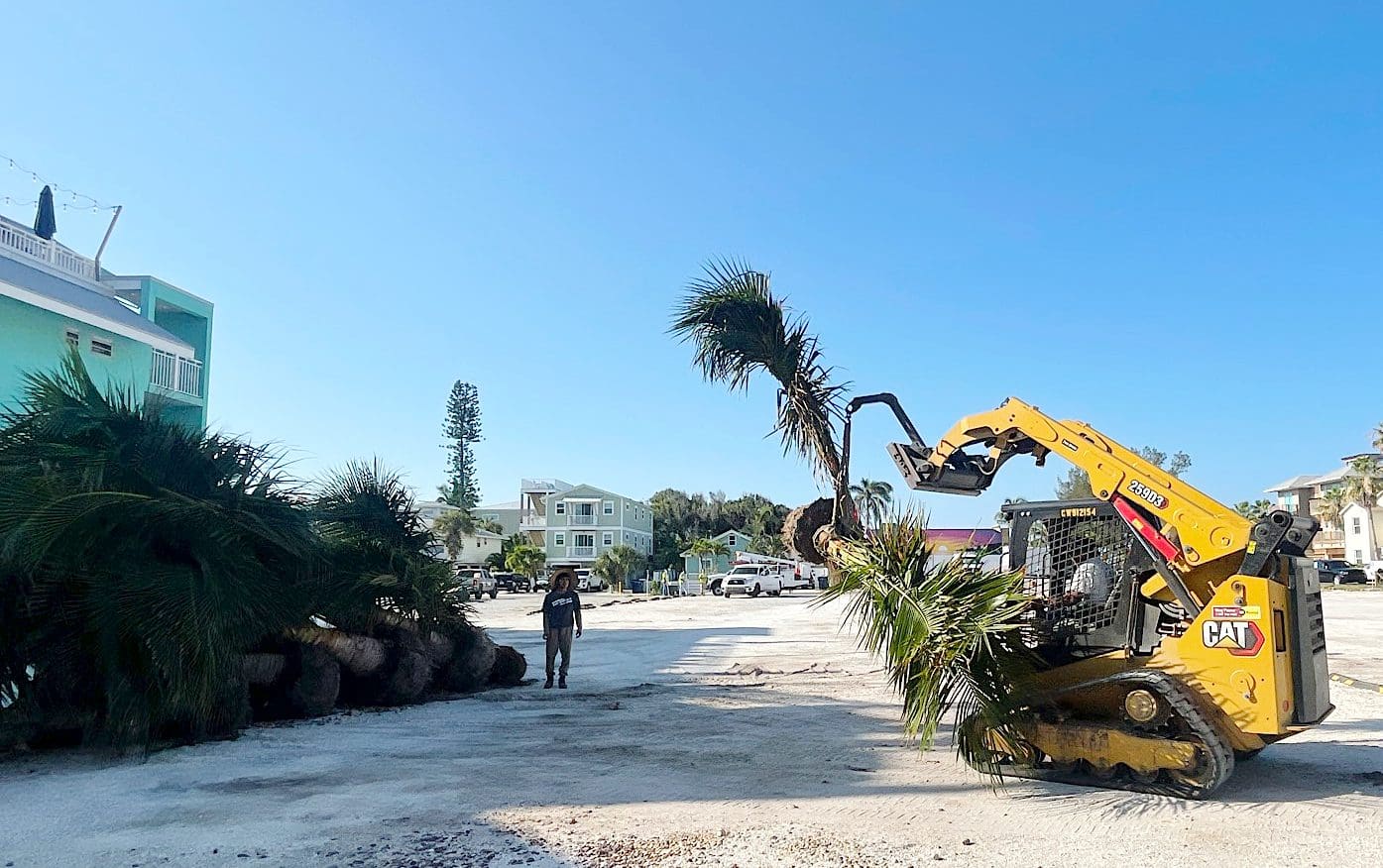 FDOT: Wrong trees, wrong place