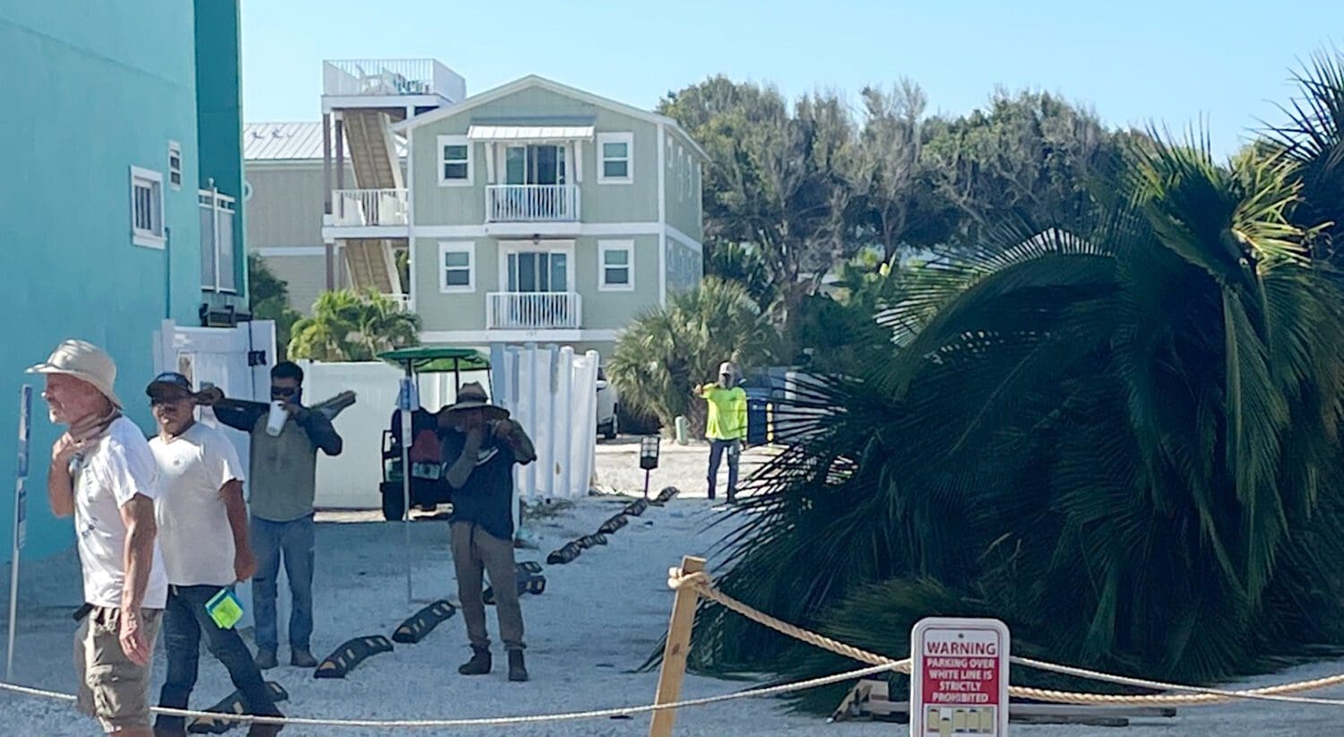 FDOT: Wrong trees, wrong place