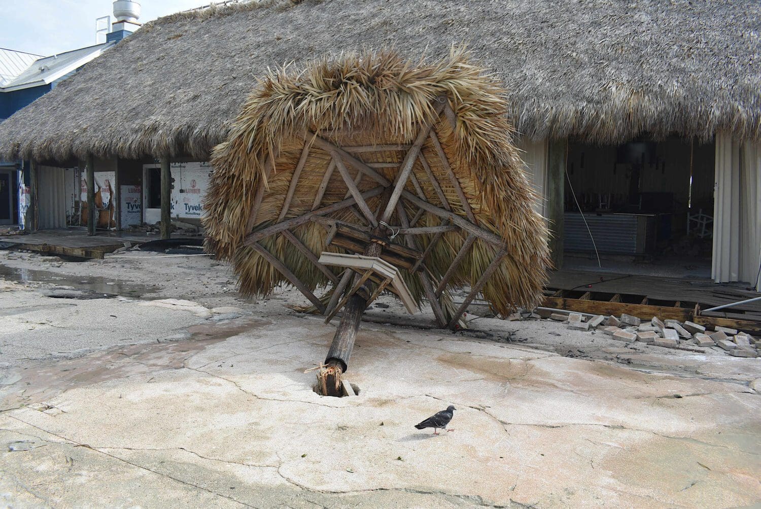 Hurricane recovery underway on Anna Maria Island