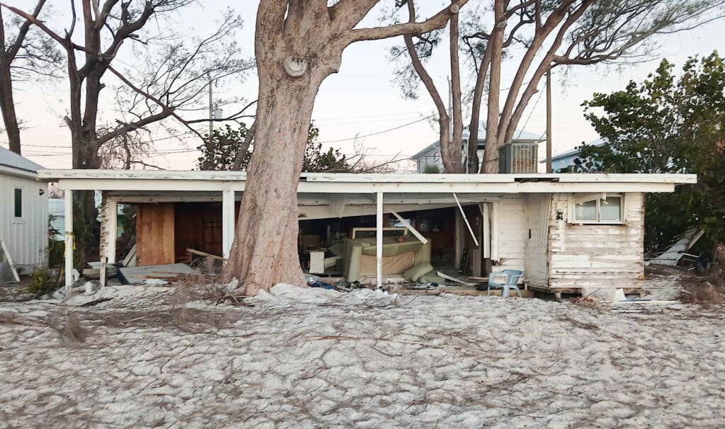 Octogenarians survive Hurricane Helene ordeal