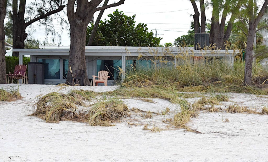 Octogenarians survive Hurricane Helene ordeal