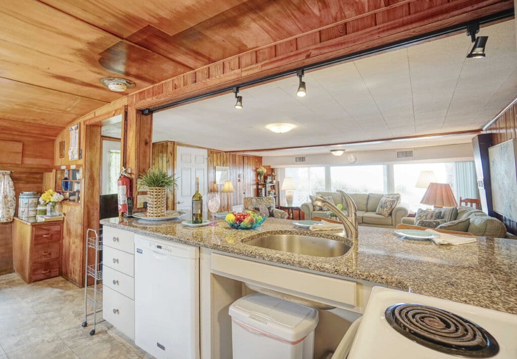 Octogenarians survive Hurricane Helene ordeal