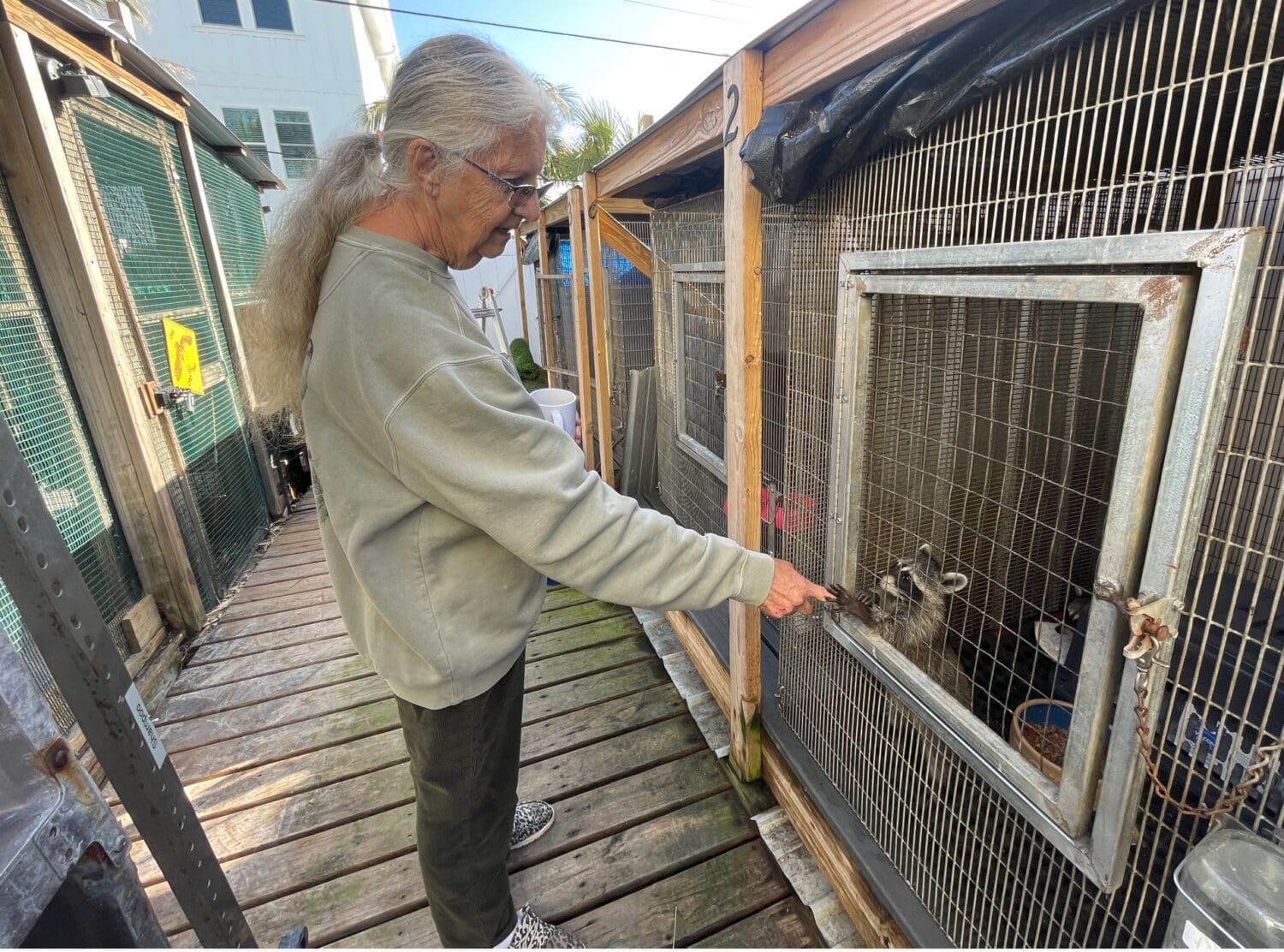 Wildlife Inc. co-founders hope to re-open soon