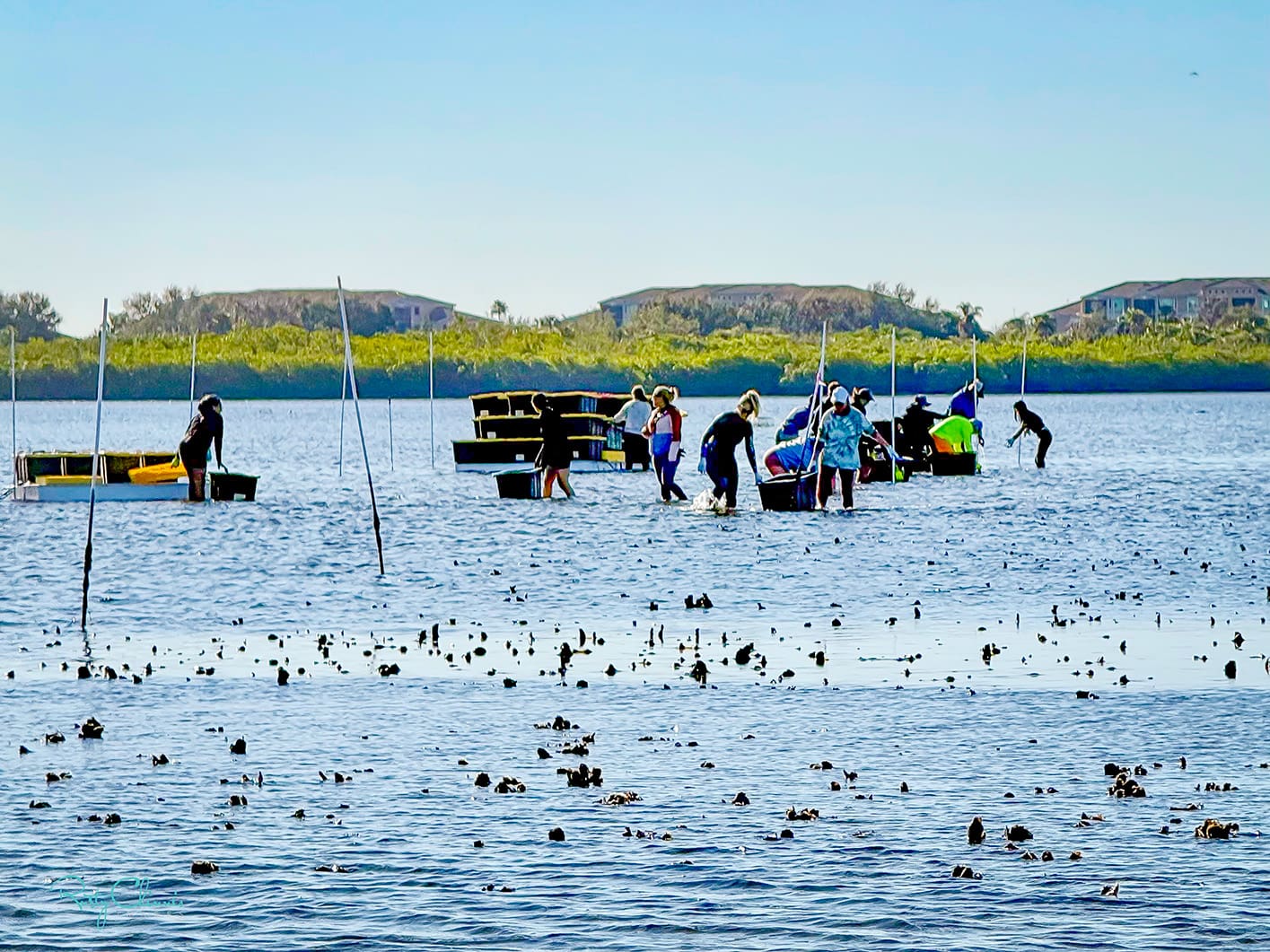 Resolutions that bear fruit